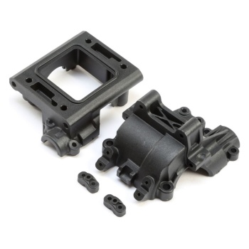 TLR242024.jpg
