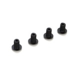 Droop Screw (4): 8B 3.0 / 4.0 / X