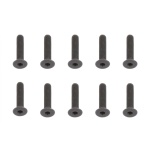 Team Associated Screws, 3x14 mm FHCS (10)