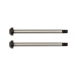 Team Associated RC10B74 Rear Hub Hinge Pins