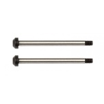 Team Associated RC10B74 Rear Hub Hinge Pins