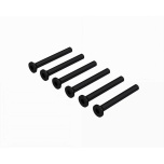 Flat Head Screw M2.5x22mm (6)