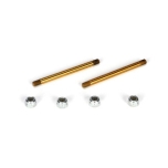 TLR Hinge Pin, Rear Outer, Threaded: 22 (discontinued, last one available)