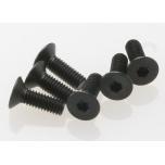 Screws, 4x12mm countersunk (hex drive) (6)