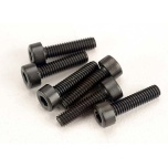 Screws, 2.5x10mm cap-head machine (hex drive) (6)