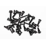 LaTrax Screw Set