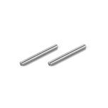Xray Front Lower Outer Arm Pivot Pin (2) (XB2)