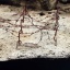 AK8015-2.jpg