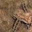 AK8018-2.jpg