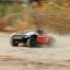 ARA4303V4T2_A28_4FGDWLE7.jpg