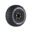 LOUT3223SB.jpg