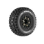LOUT3223SB_1.webp