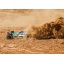24254-8-Bandit-EHD-Action-Roost3-Green.jpg