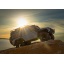 82256-4-TRX-4-Defender-Sunflare-SLVR-1810.jpg